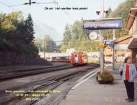 Brunig Station
